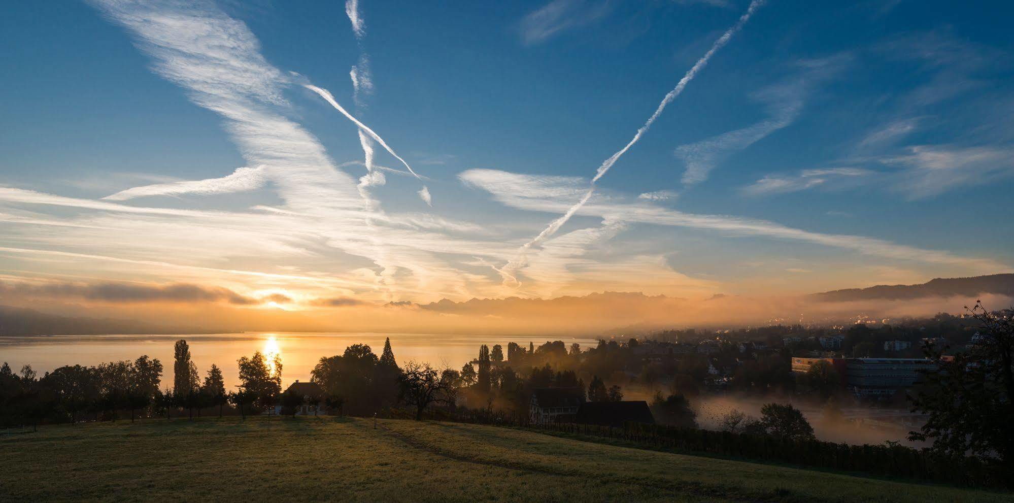 Hotel Landgasthof Halbinsel Au Wädenswil Exterior foto